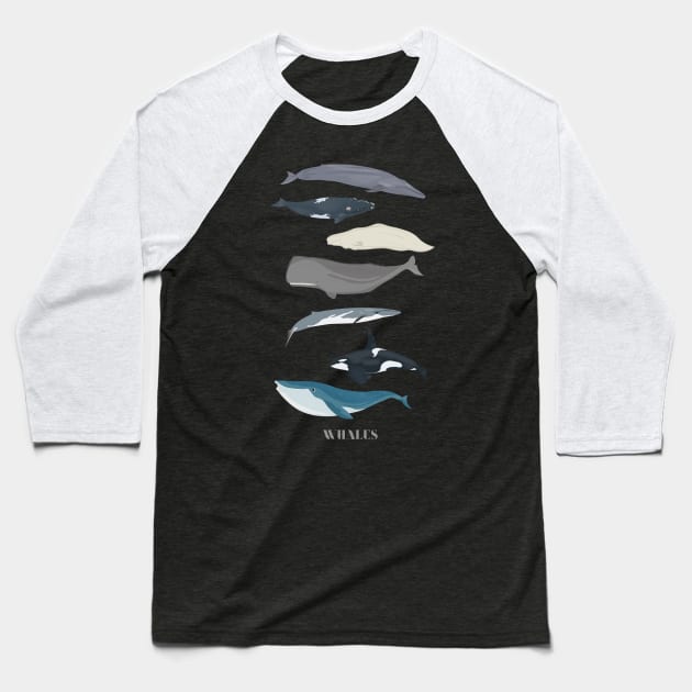 Whales Baseball T-Shirt by Dennson Creative